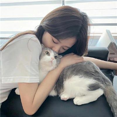 这不是一部电影